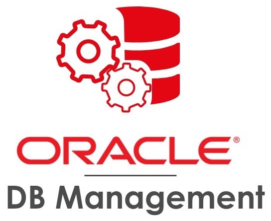 Logo Oracle DB